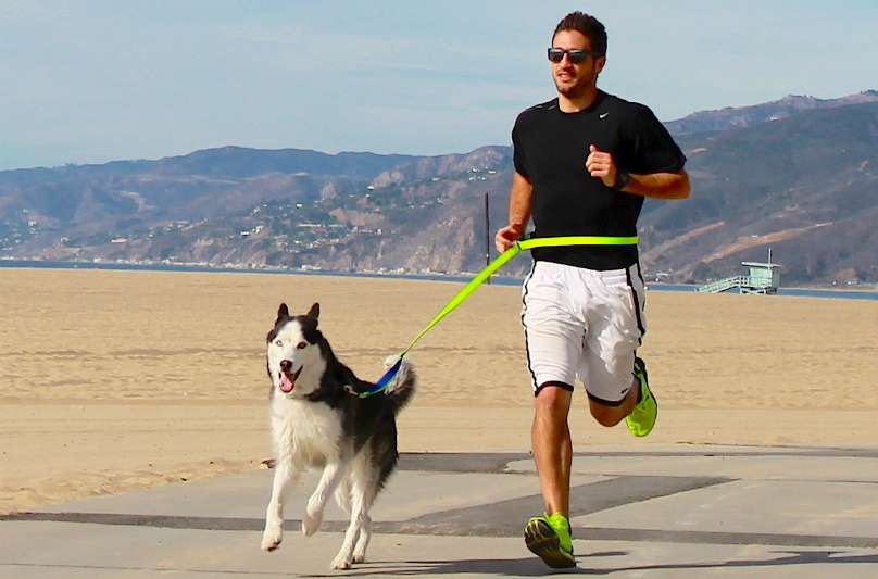 The Important Things To Keep In Mind While You Are Running With Your Dog