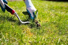 The Benefits of Hiring Weed Control Services